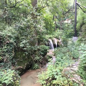 Meet your Posher, Amberlyn